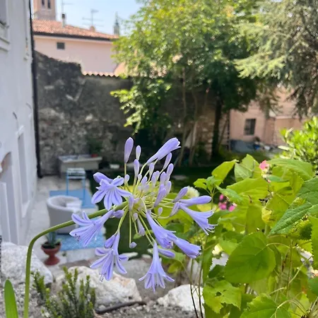 Antico *